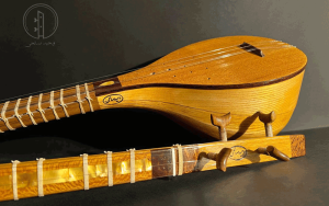 سه تار نواز